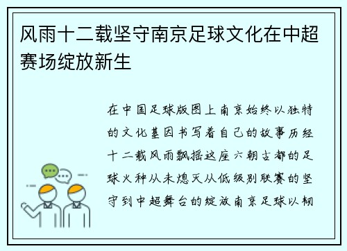 风雨十二载坚守南京足球文化在中超赛场绽放新生