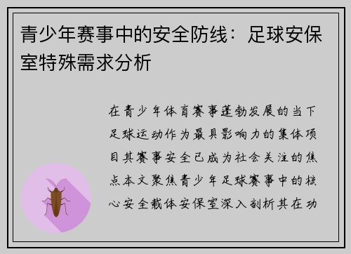 青少年赛事中的安全防线：足球安保室特殊需求分析